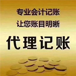 萬州區(qū)正規(guī)代理記賬 質(zhì)量放心可靠的專業(yè)平臺軟件開發(fā)服務